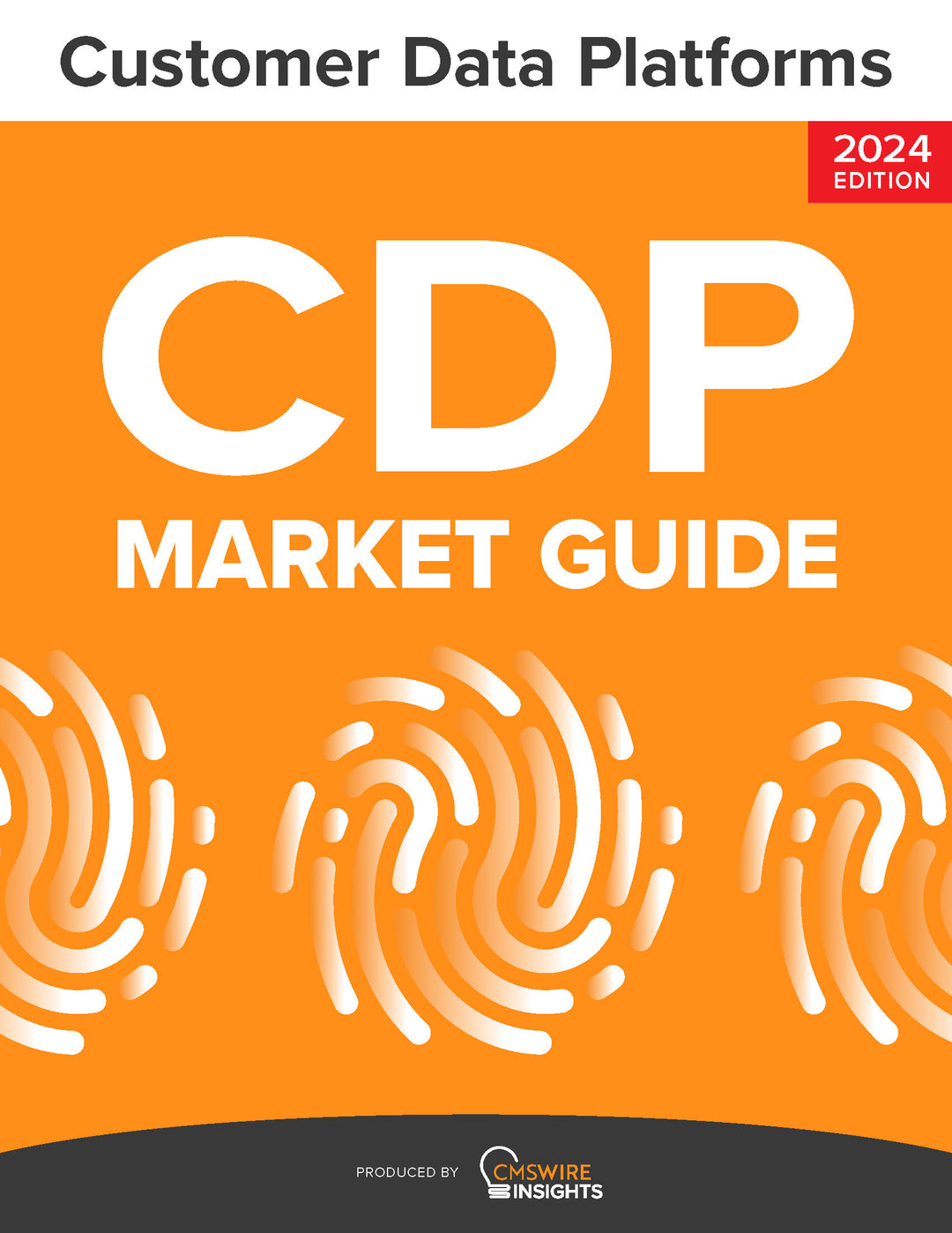 Customer Data Platform (CDP) Market Guide (2024)