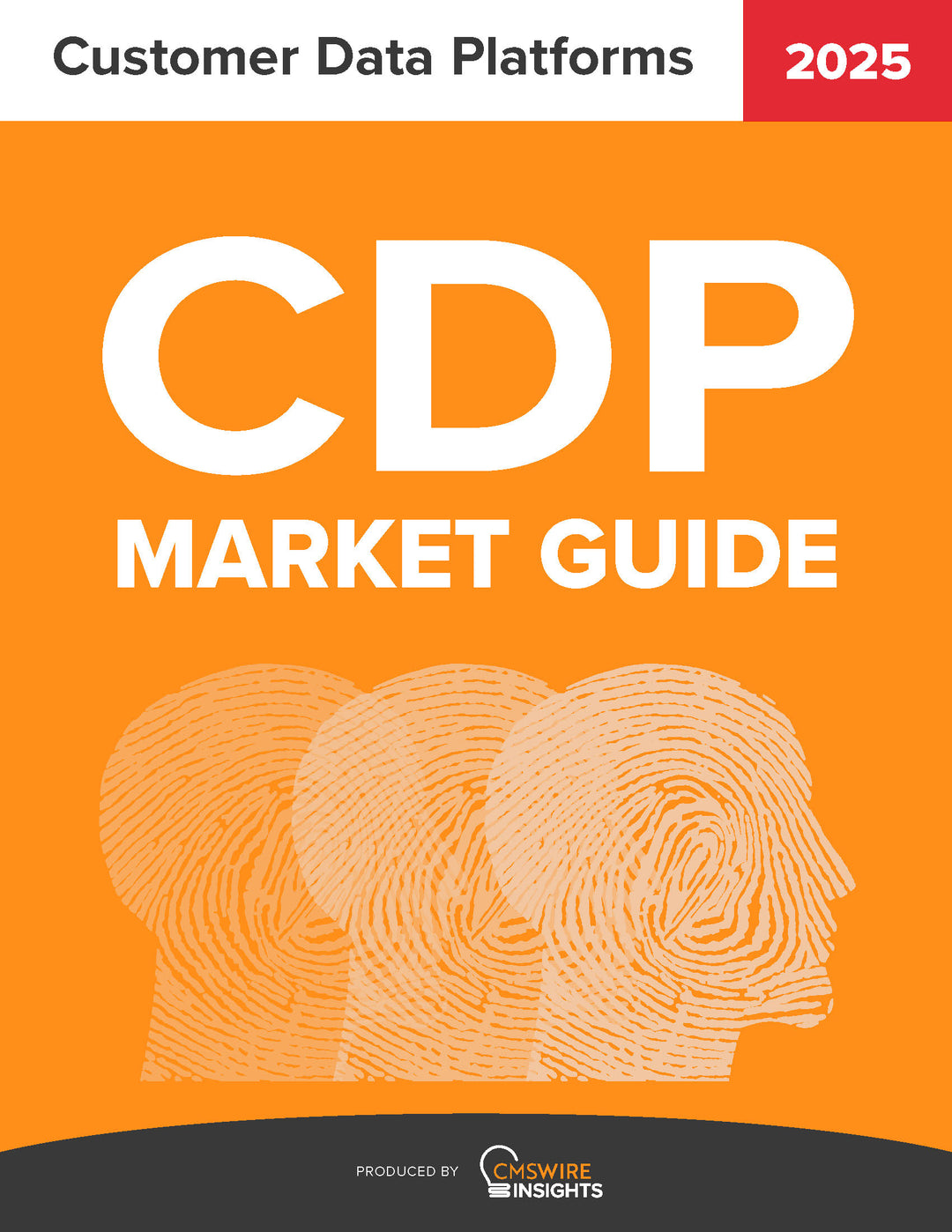 Customer Data Platform (CDP) Market Guide (2025)